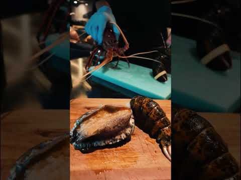 この霜降りを、鉄板で｜FUJIWARA STEAK HOUSE